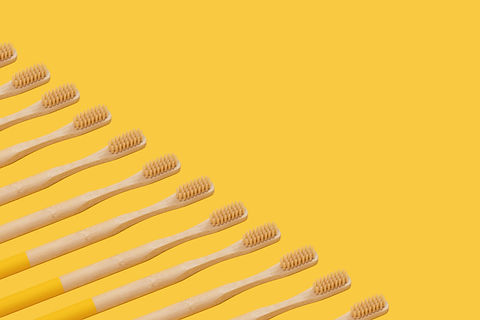 Bamboo Toothbrushes