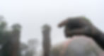 Giant hand sculpture holding a tree, beside rock columns with trees on top, in a misty garden setting. Overcast sky in the background.