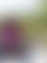 Evolving Through Introspection: An Emotional, Physical, and Mental Feat