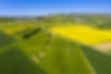 Green Fields