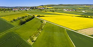Green Fields