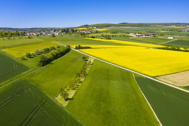 Campos verdes