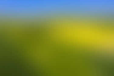 10 curiosidades sobre o agro brasileiro que você talvez não saiba