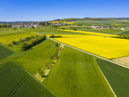 Produits phytosanitaires : les maires ne peuvent légalement en réglementer l'utilisation