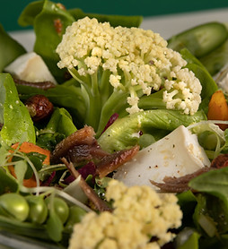 Frischer Gemüsesalat