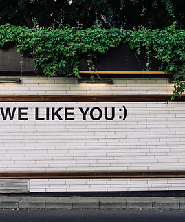 We Like You