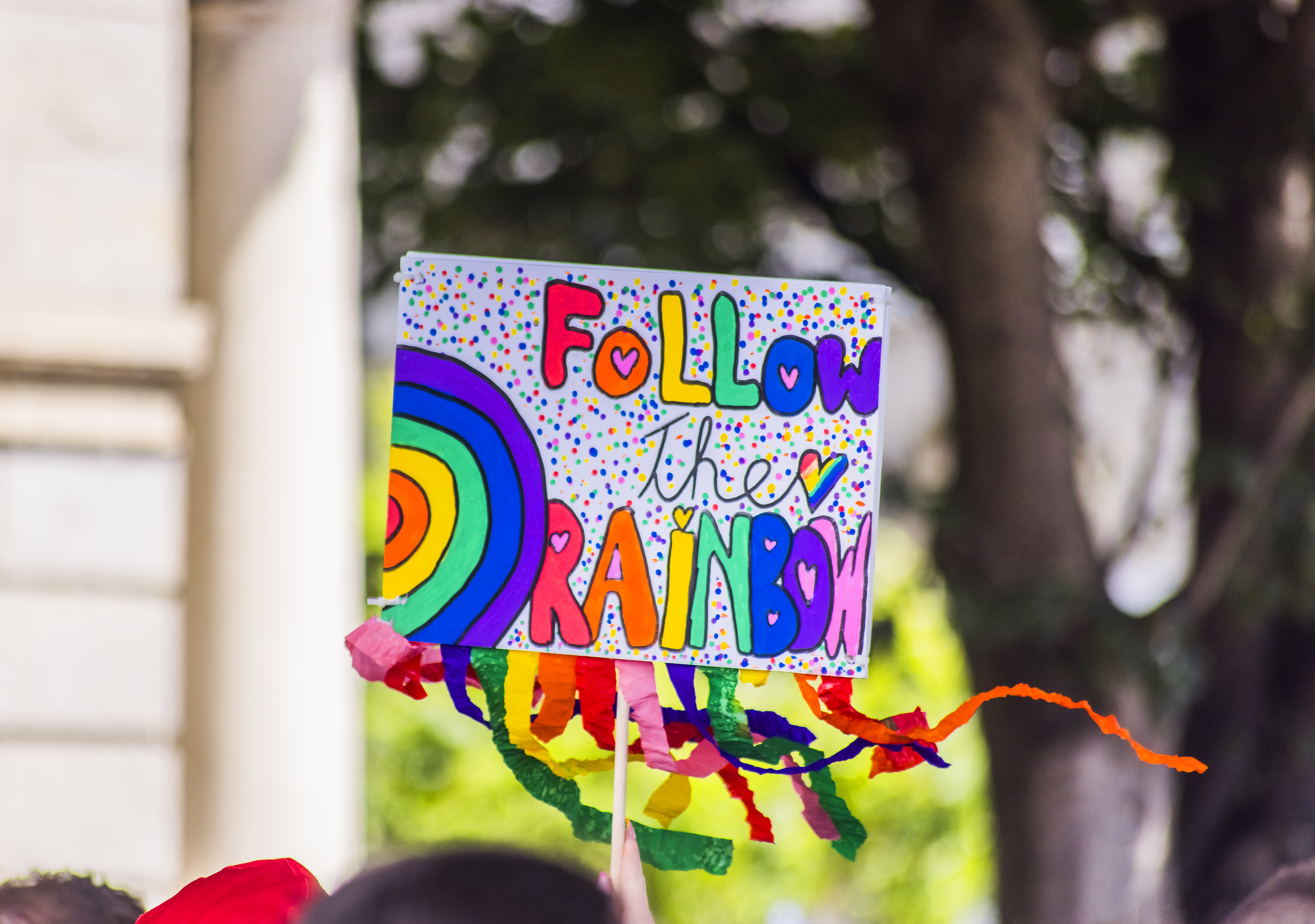 Discover the rich biodiversity and conservation challenges of the Amazon rainforest.