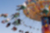 HerrinFesta