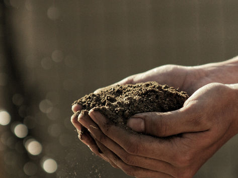 On Designing with Soil, Not Against It