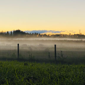 2 Fall Equinox Meditations