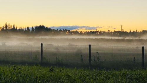 Waiting for Tomorrow