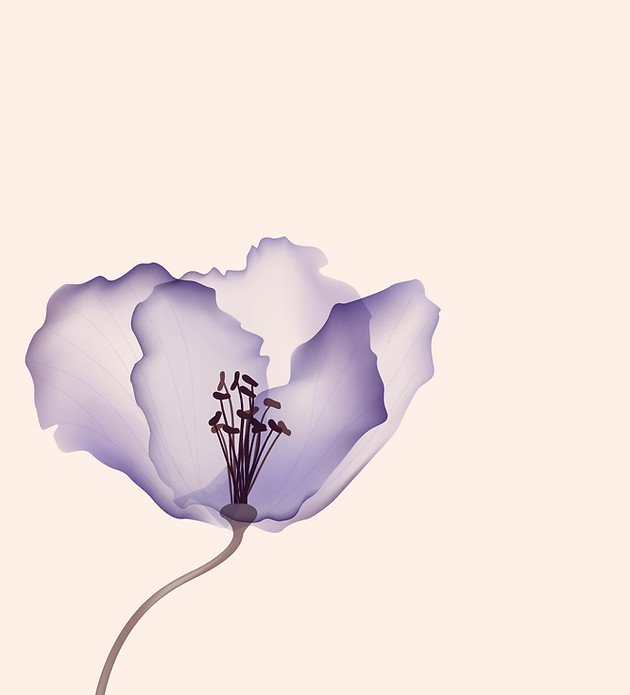 紫の花のイラスト