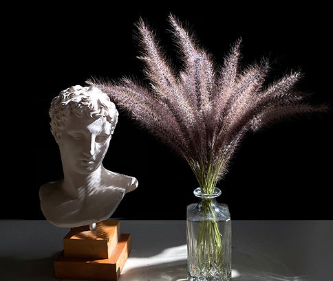 Still Life