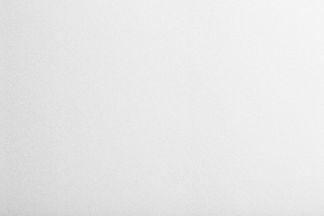 Light Gray Background