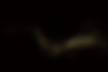 Golden Glitter Swirl