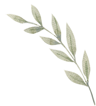 Leafy Branch Illustration