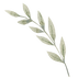 Méditation