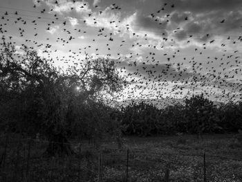 Áreas Naturales Protegidas en Quintana Roo: Qué Puede y No Puede Hacerse