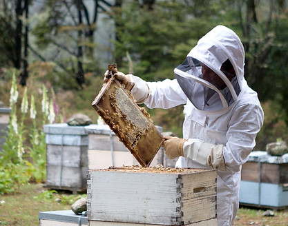 beekeeper with fram