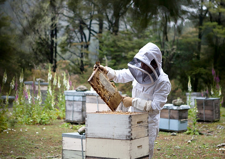 Beekeeper