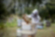 Beekeeper Examining Hive