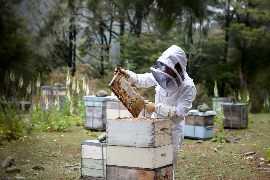 Beekeeper with Honeycomb