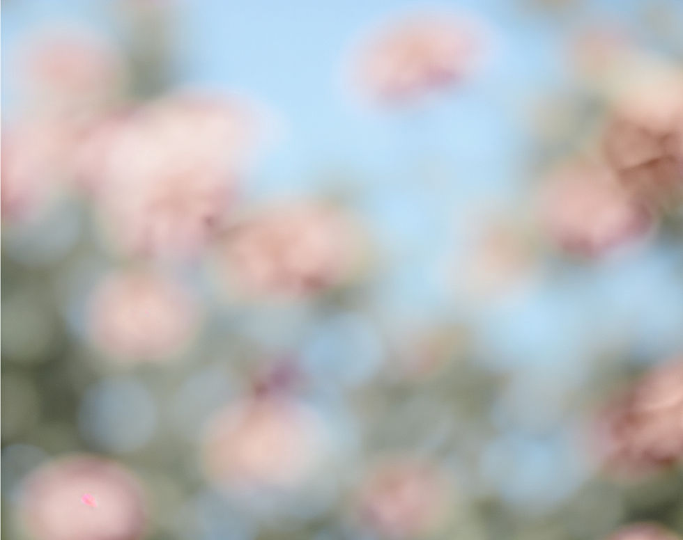 Blurred Floral Scene