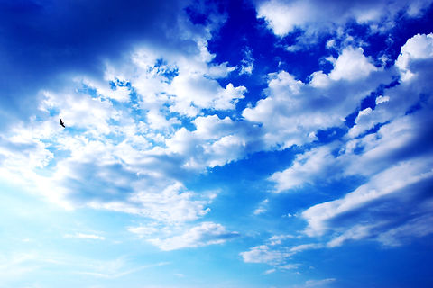 青空を舞う
