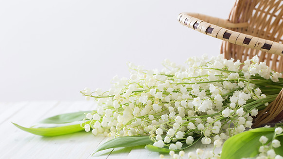 Bouquet de muguet