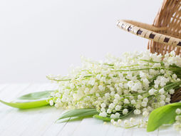 5月になりました