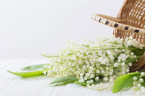 Lilies of the Valley