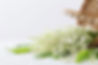 Bouquet de muguet