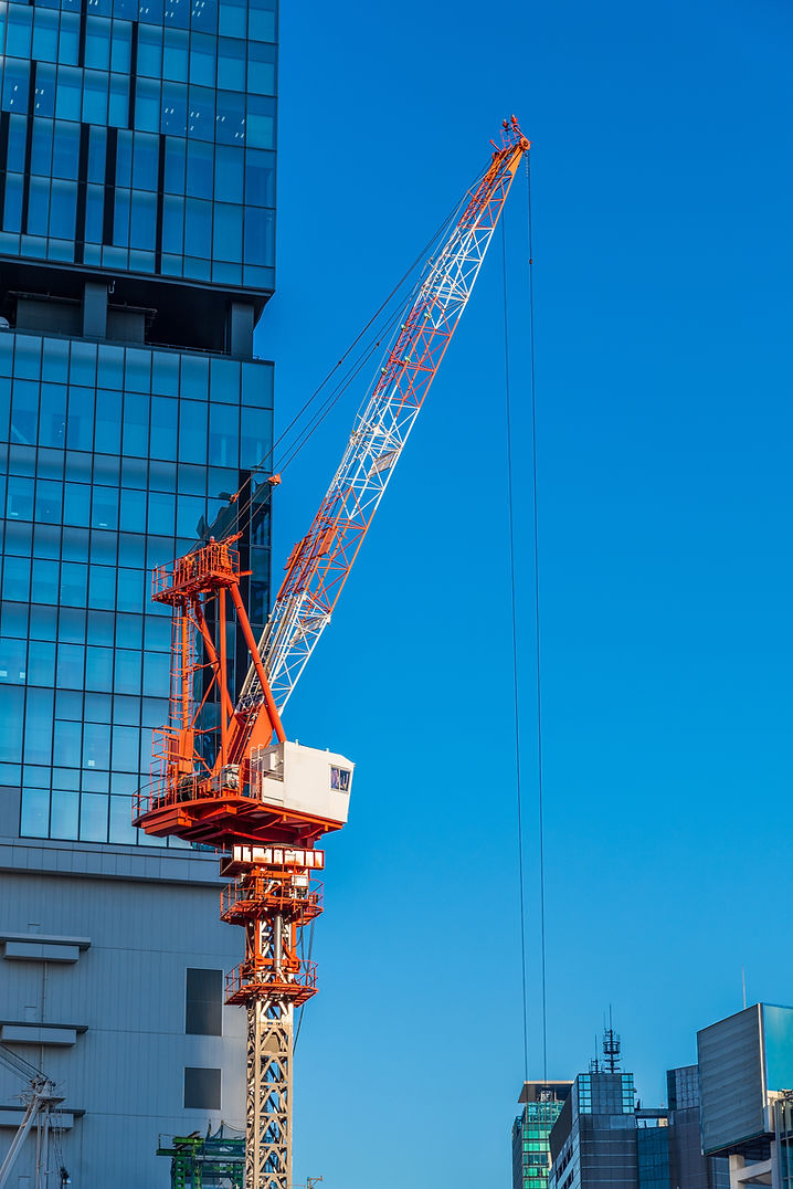 La grúa de construcción
