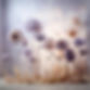 Flower Decorations