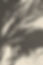 Pflanzenschatten