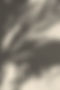 Plant Shadow