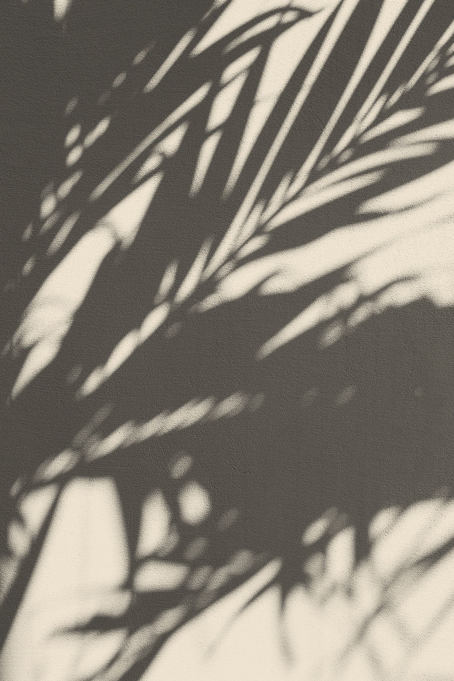 Pflanzenschatten