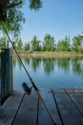 Fishing Rod Outdoors