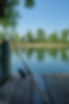 Fishin dans l'étang
