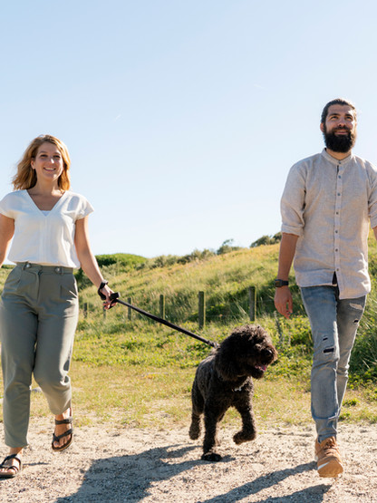 Walking the Dog