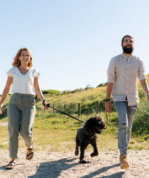 Walking the Dog