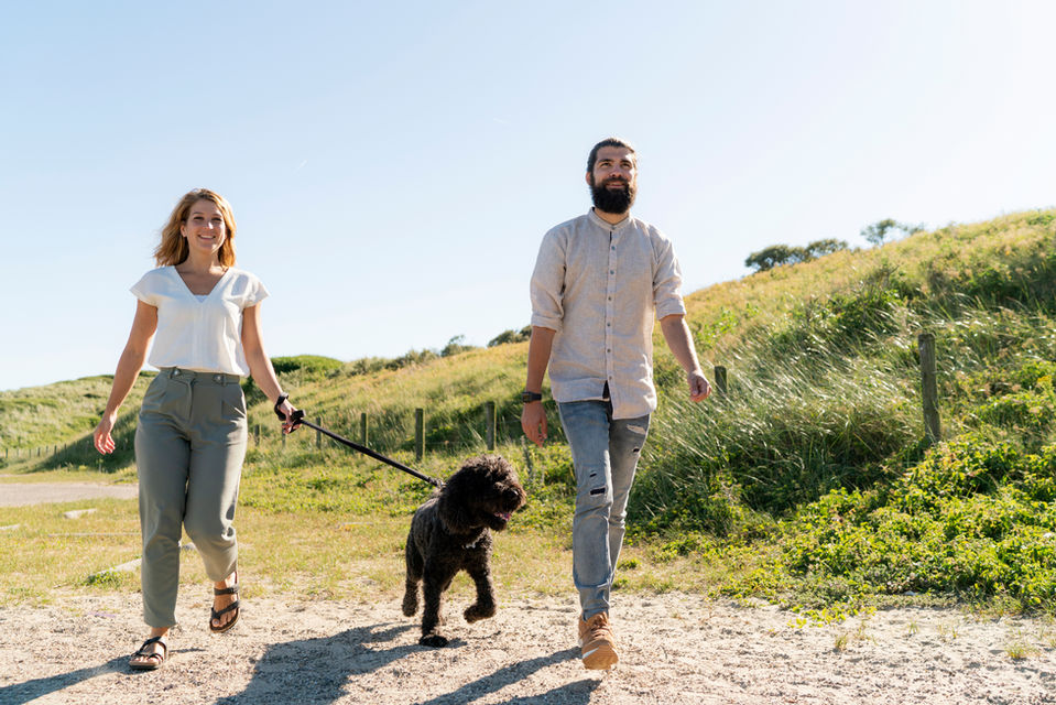 Walking the Dog