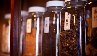 Herbs and Remedies