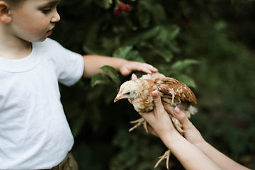 Boy with Chick