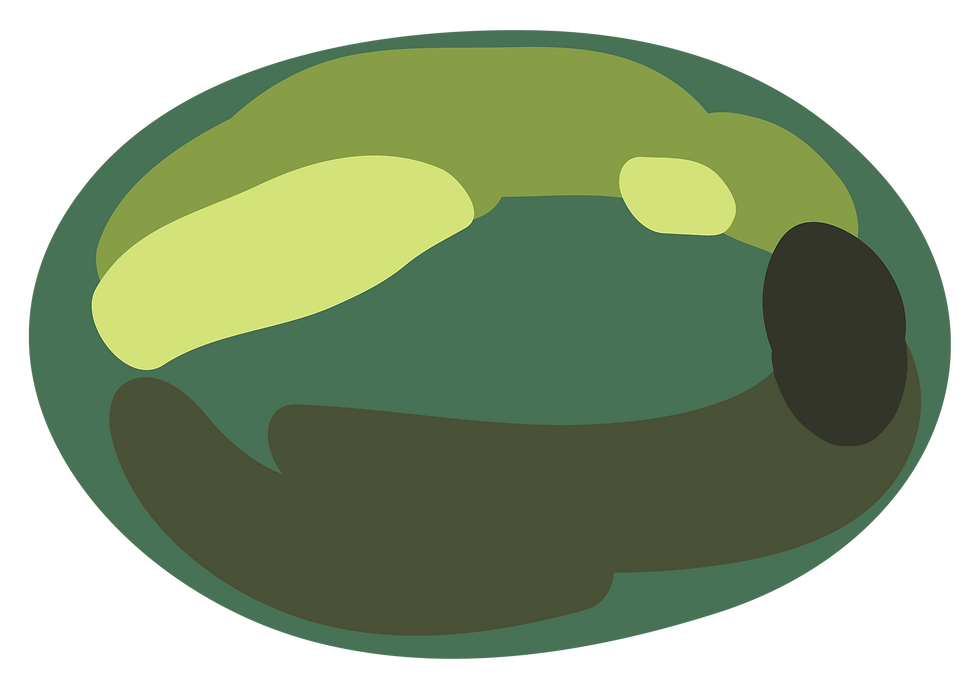 Abstract Green Shape