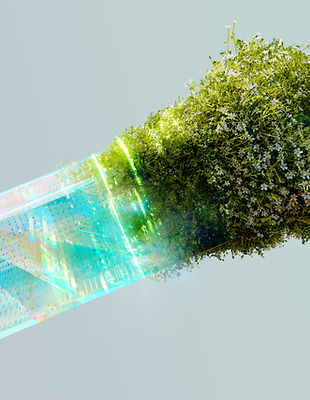 Environmental Consulting