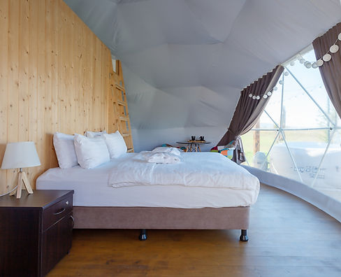 Cozy Dome Interior