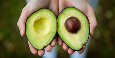 Sliced Avocado