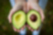 Geschnittene Avocado