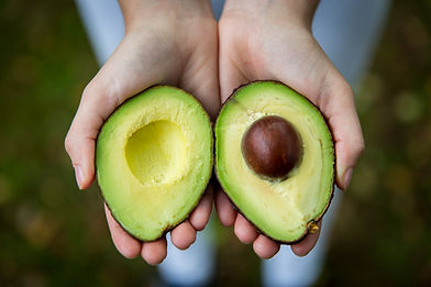Hands Holding Avocado